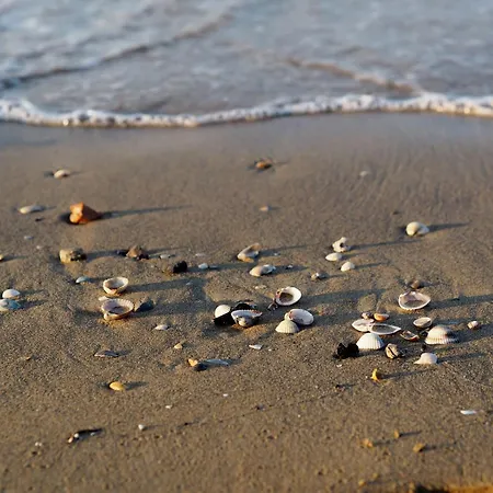 Spacious With Sea View And Large Terrace דירה *