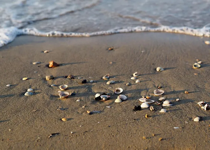 Spacious With Sea View And Large Terrace 아파트 *